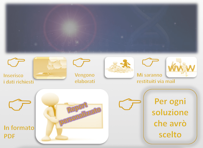 il processo di inserimento e restituzione analisi .png